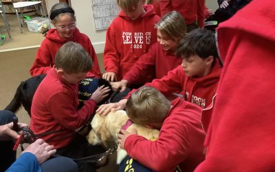 Guide dogs visit