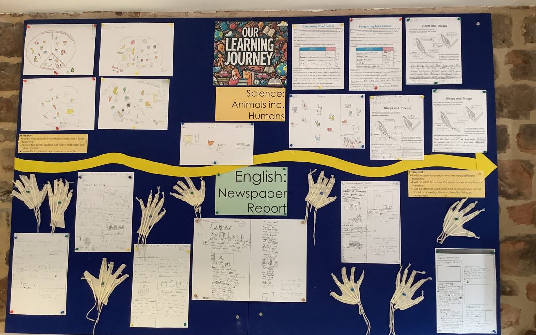 Cogden Science Unit: Animals Including Humans!