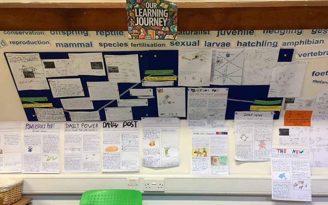 Life Cycle Detectives!