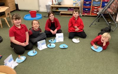 North and South Poles topic