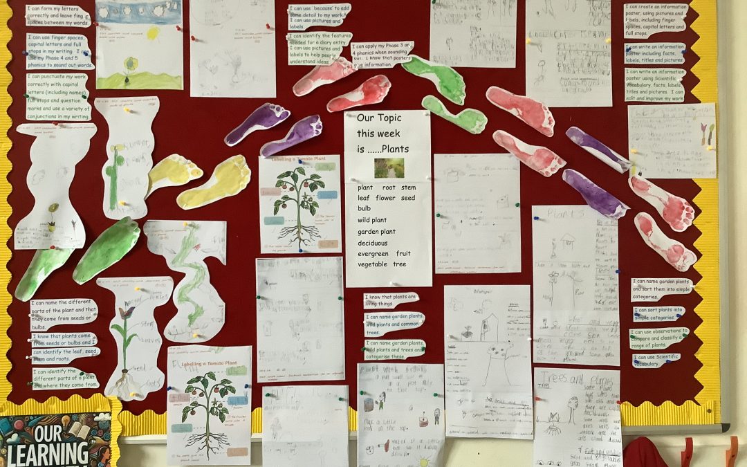 Science Topic – Plants