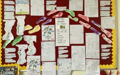 Science Topic – Plants